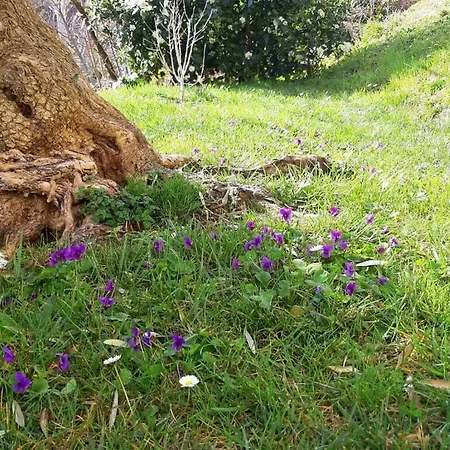 公寓 Biancospino Strettoia